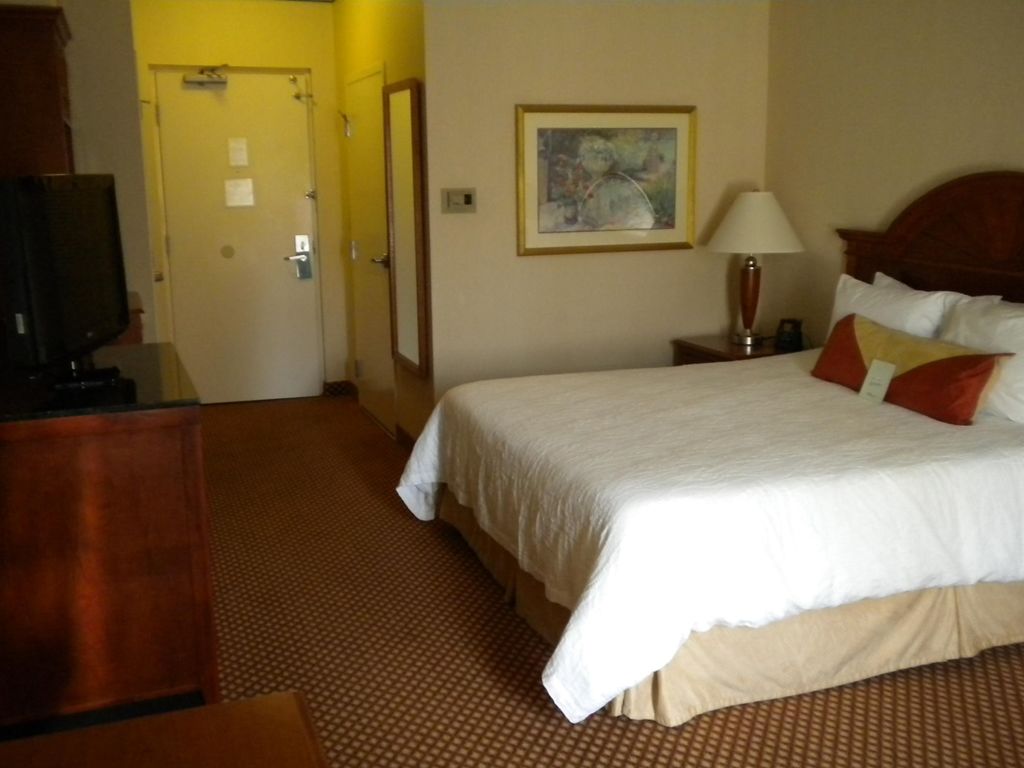 Hilton Garden Inn Philadelphia-Fort Washington Pokój zdjęcie